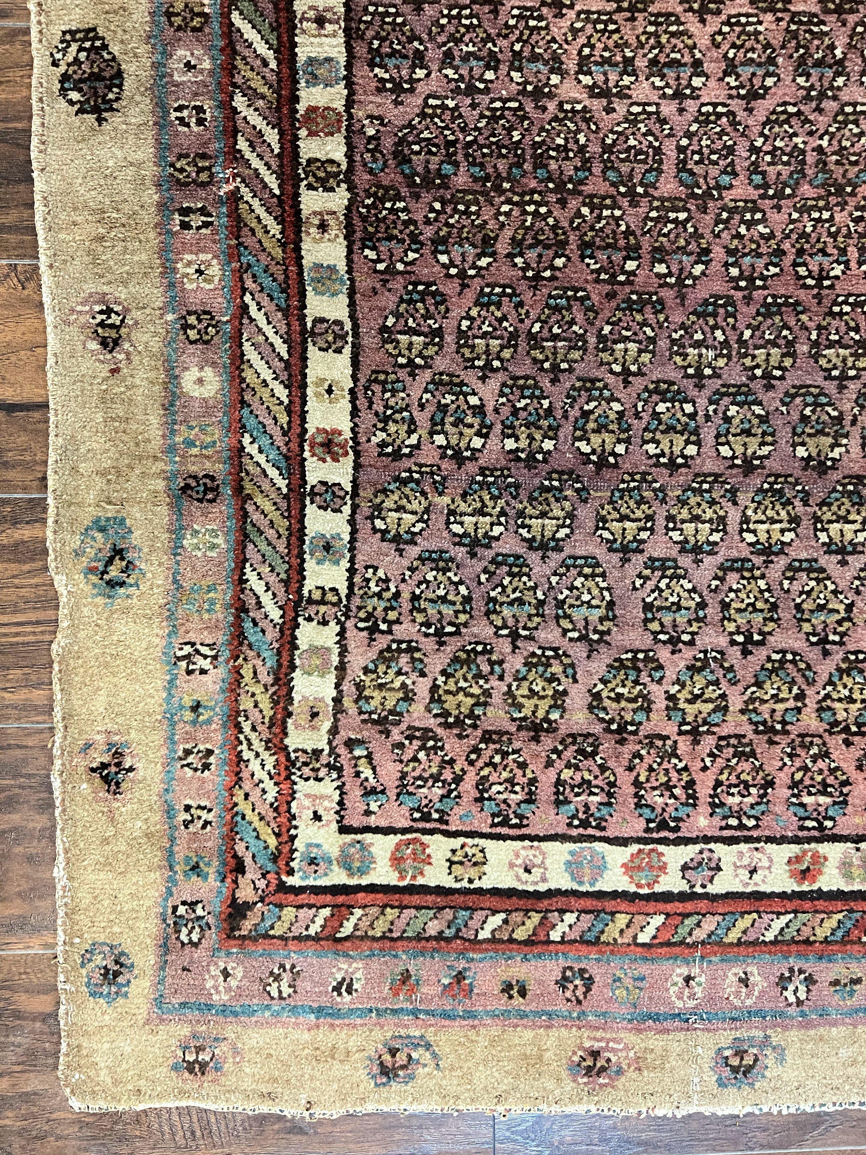 Antique Persian Sarab Runner Rug 3x11, Wool Camel Hair, Tribal Carpet for Hallway 3 x 11, Antique 1920s Rug, Handmade - Jewel Rugs
