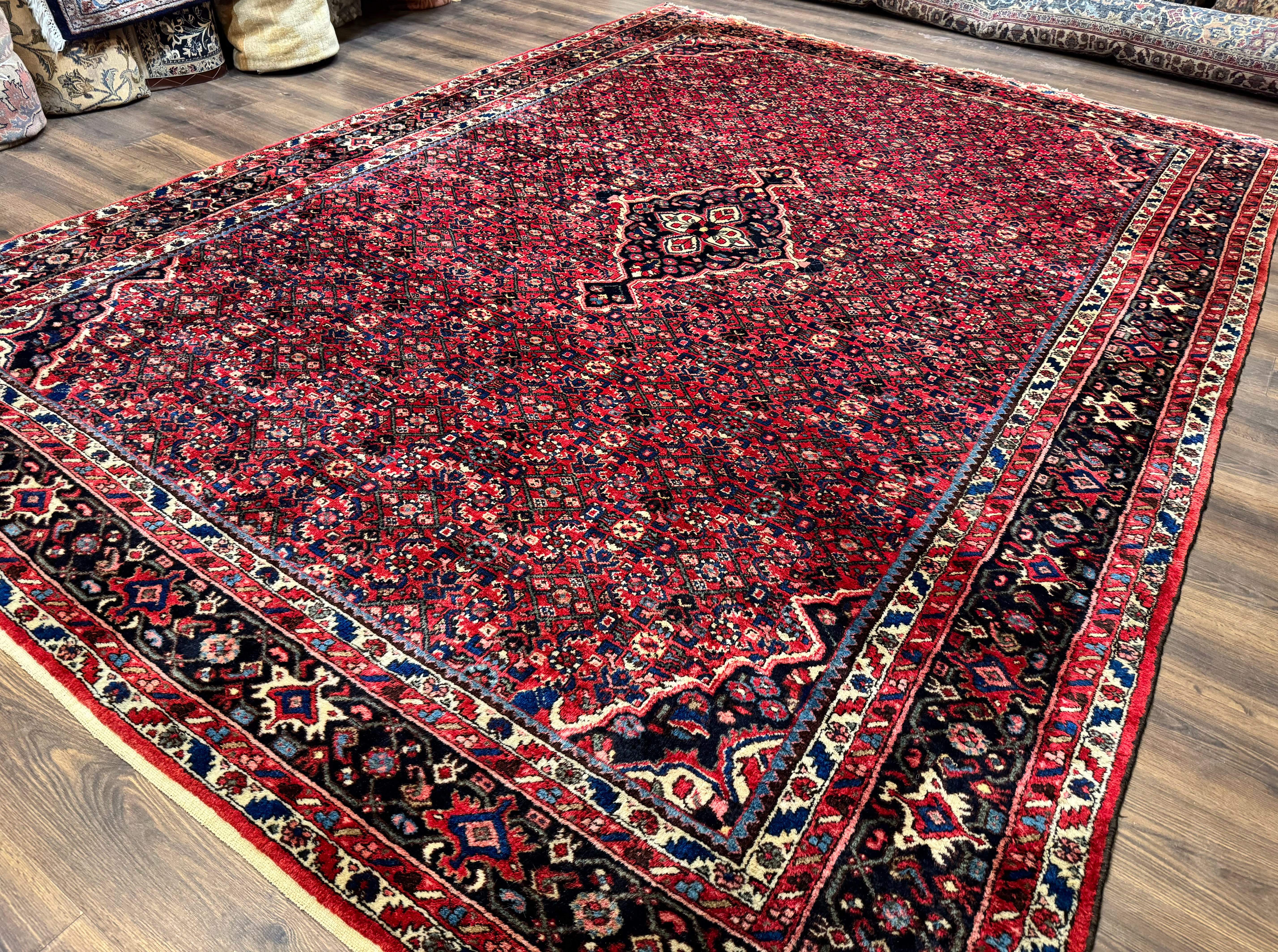 Persian Hamadan Rug 9x12 – Red and Navy Hand-Knotted Wool Antique Village Carpet - Jewel Rugs