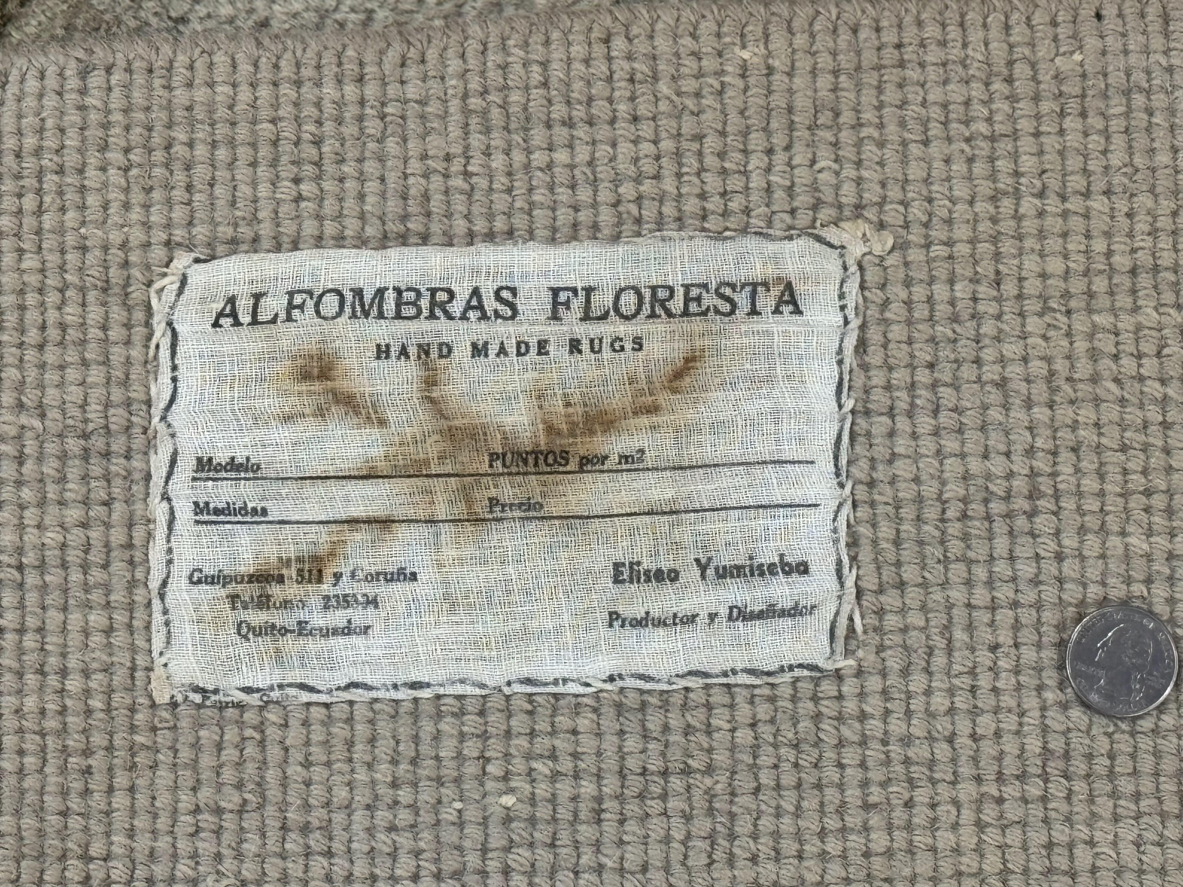 South American Rug 6x7, Unique Native American Design, Ivory, Ecuador Rug, Handmade Wool - Jewel Rugs