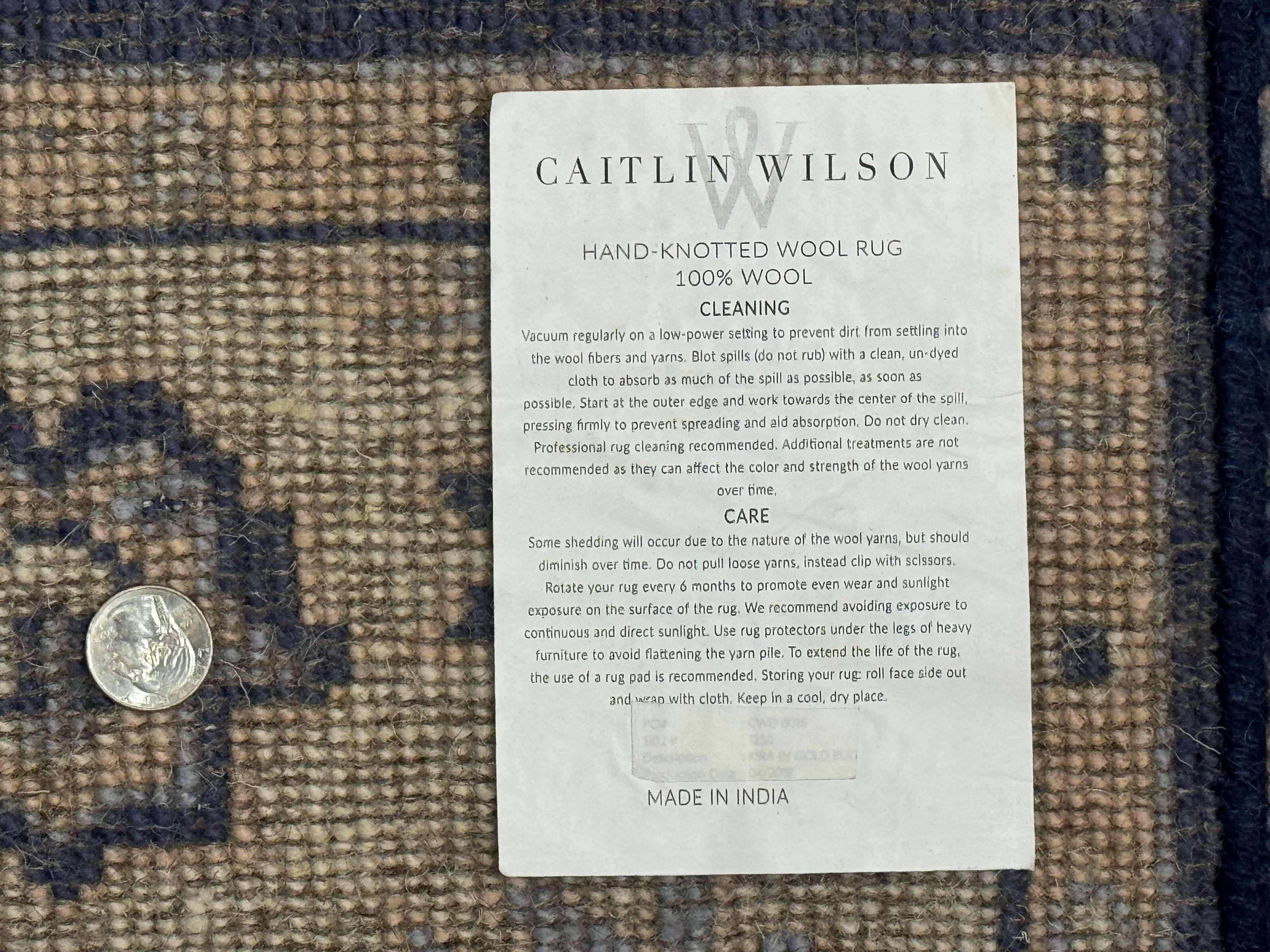 Blue and Beige Indian Rug, Indo Persian Carpet - Jewel Rugs