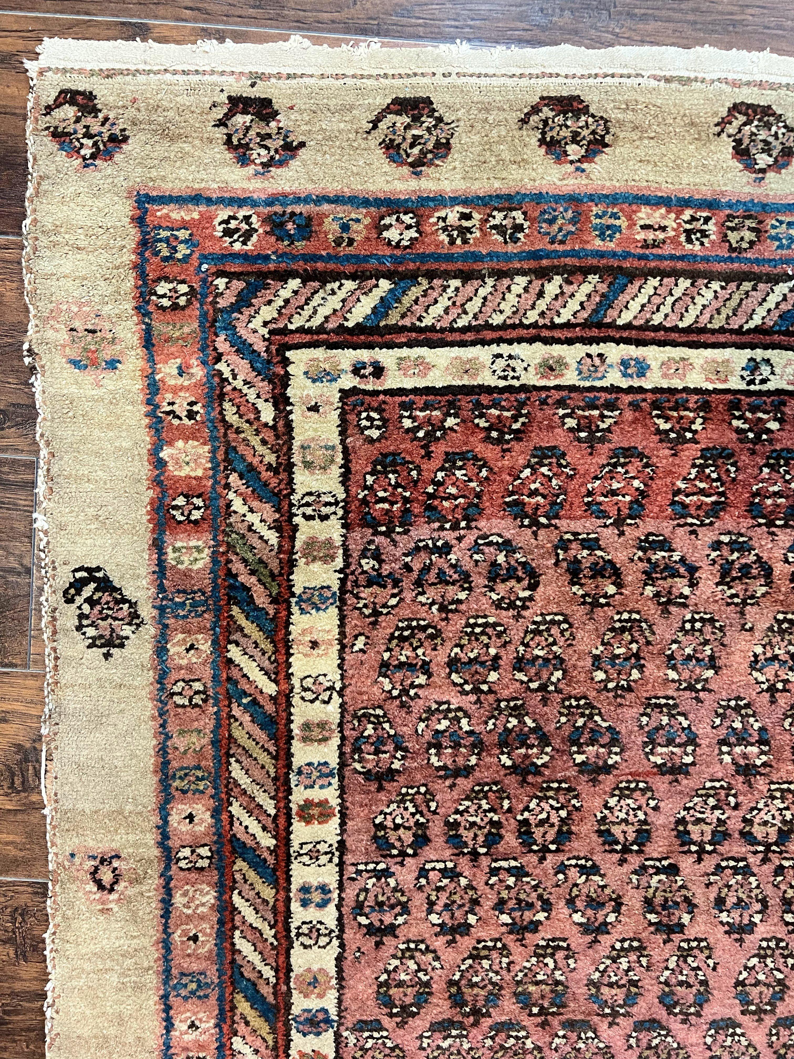 Antique Persian Sarab Runner Rug 3x11, Wool Camel Hair, Tribal Carpet for Hallway 3 x 11, Antique 1920s Rug, Handmade - Jewel Rugs