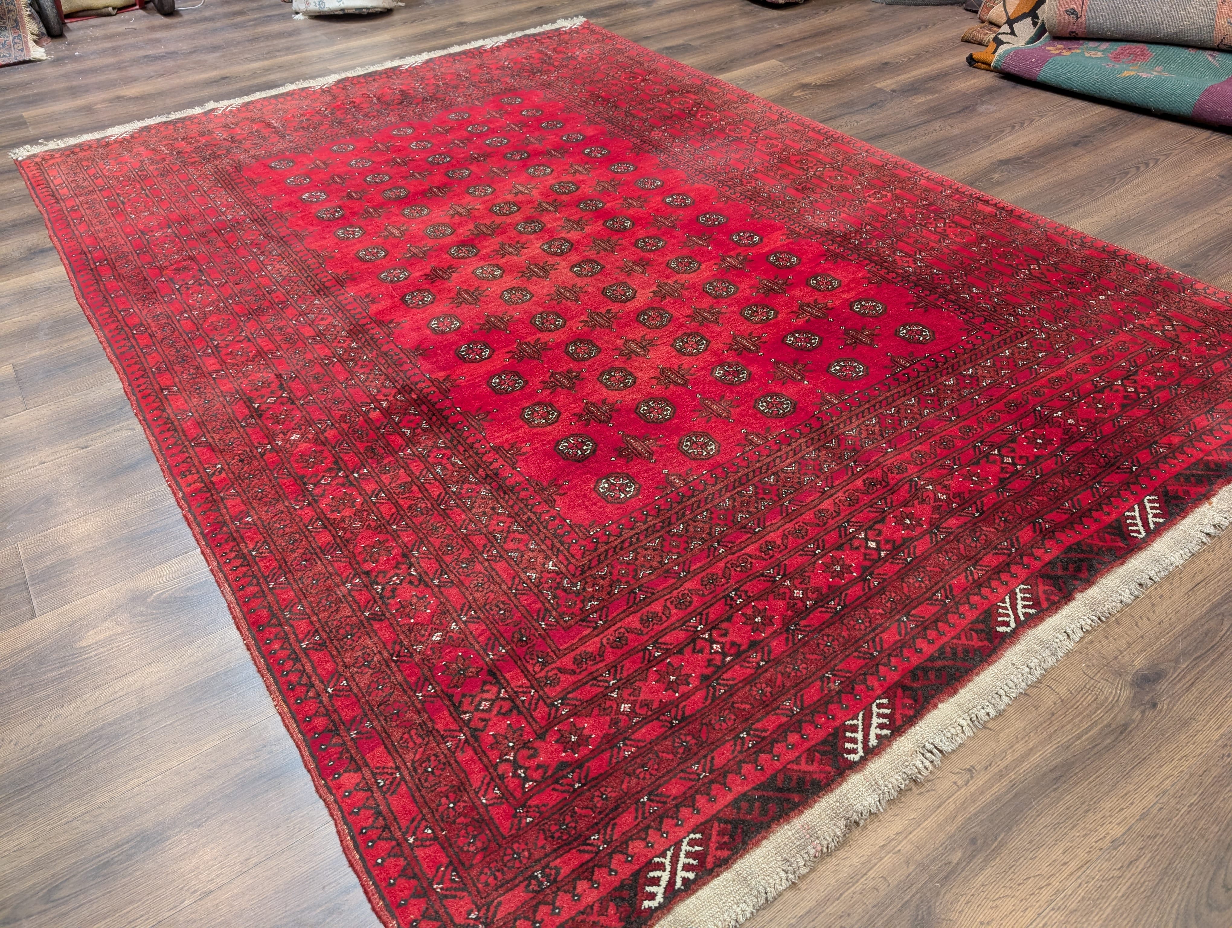 Red Afghan Turkoman Rug 7x9, Bokhara Rug, Wool, Tribal, Hand Knotted - Jewel Rugs