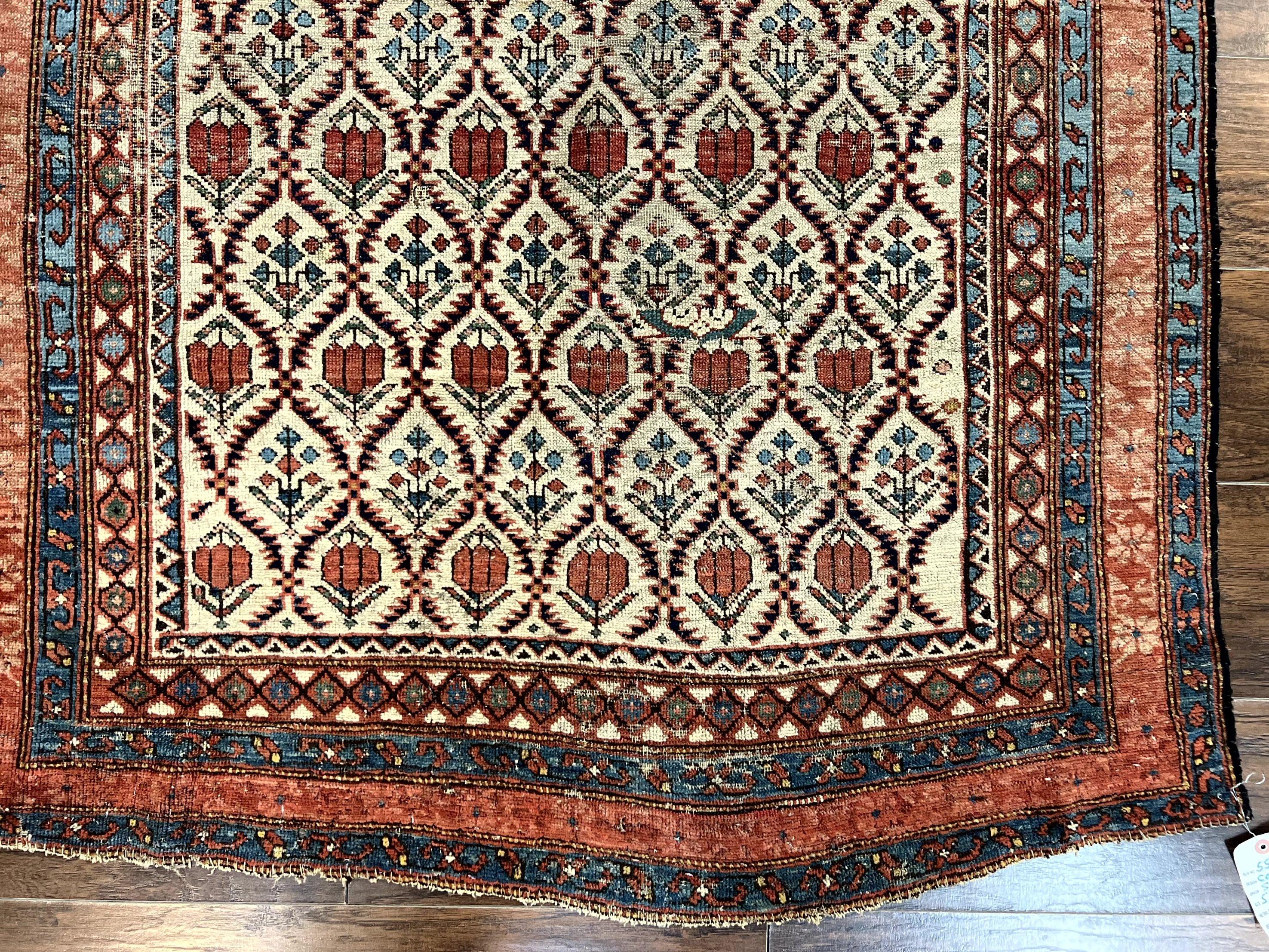 Antique Caucasian Rug 4x6, Hand Knotted Wool Carpet, Shirvan Rug - Jewel Rugs