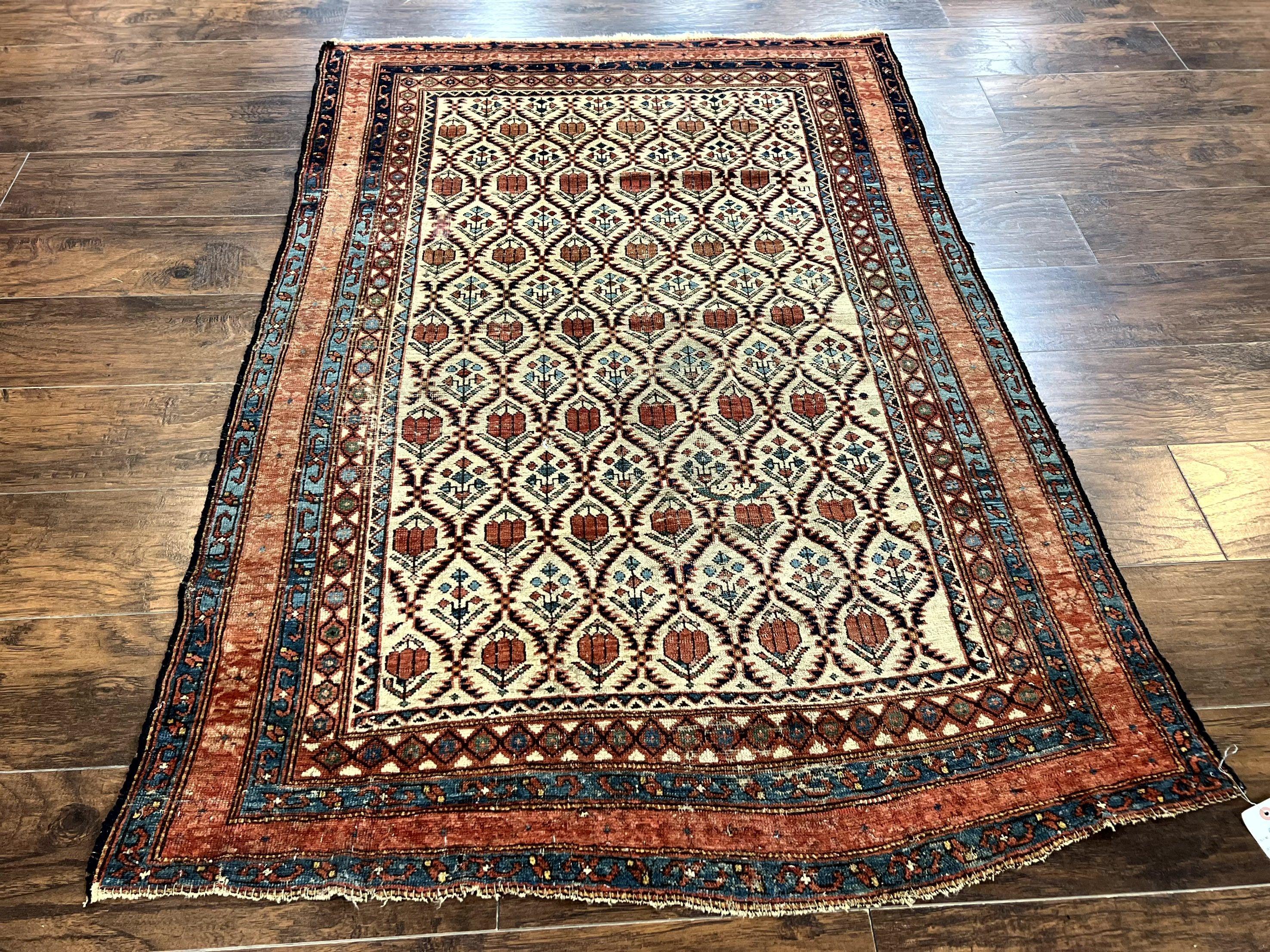 Antique Caucasian Rug 4x6, Hand Knotted Wool Carpet, Shirvan Rug - Jewel Rugs