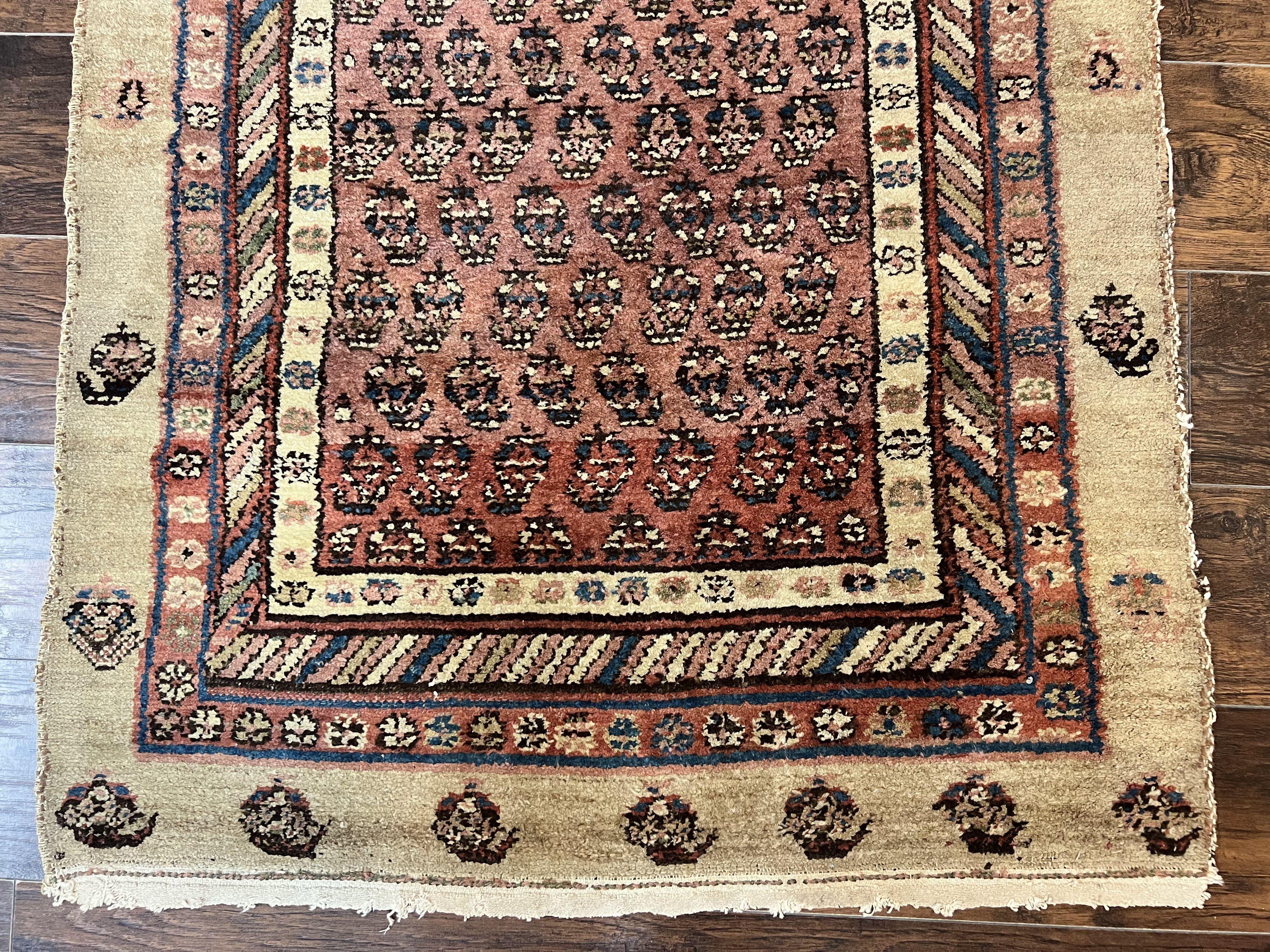 Antique Persian Sarab Runner Rug 3x11, Wool Camel Hair, Tribal Carpet for Hallway 3 x 11, Antique 1920s Rug, Handmade - Jewel Rugs