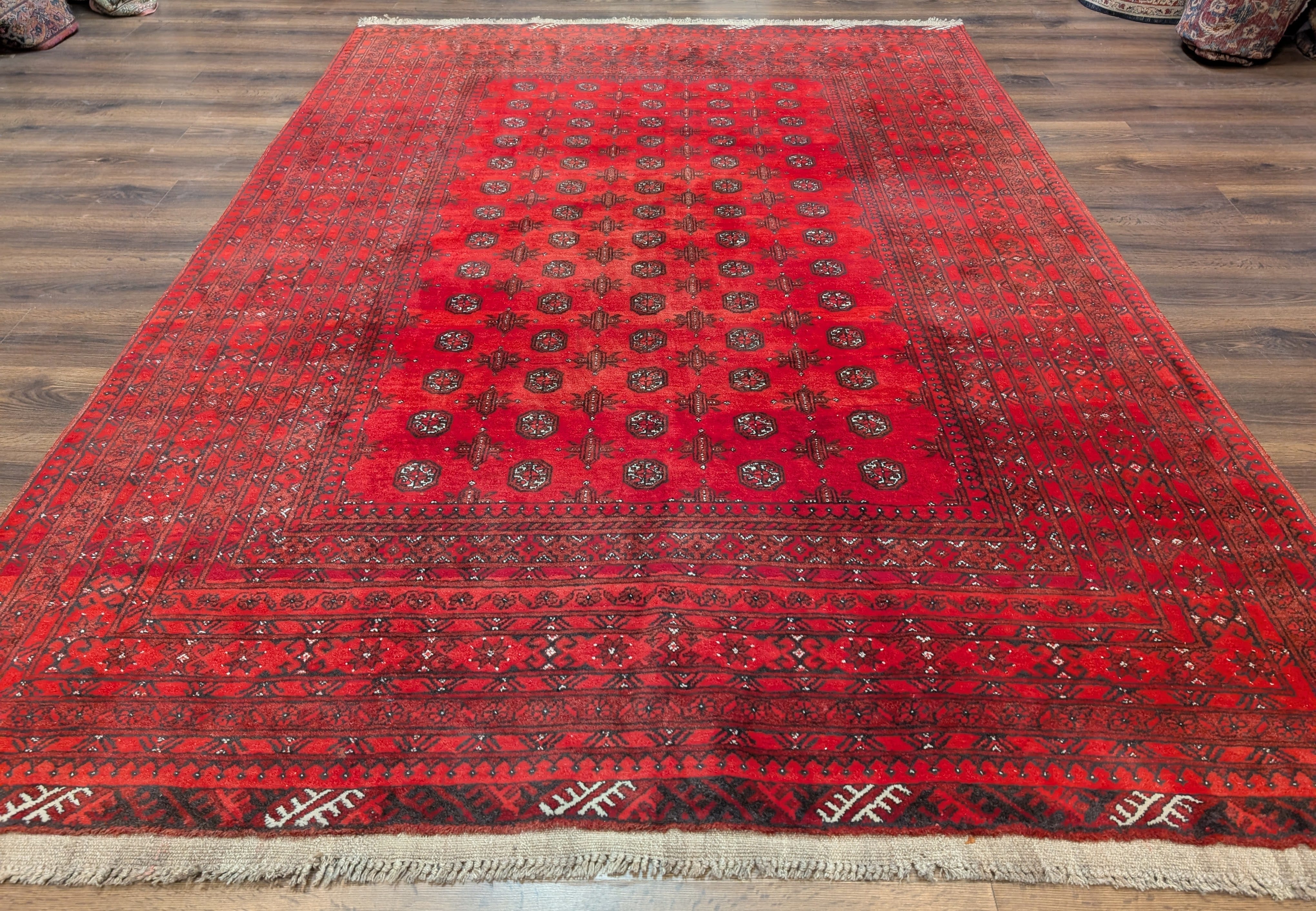 Red Afghan Turkoman Rug 7x9, Bokhara Rug, Wool, Tribal, Hand Knotted - Jewel Rugs