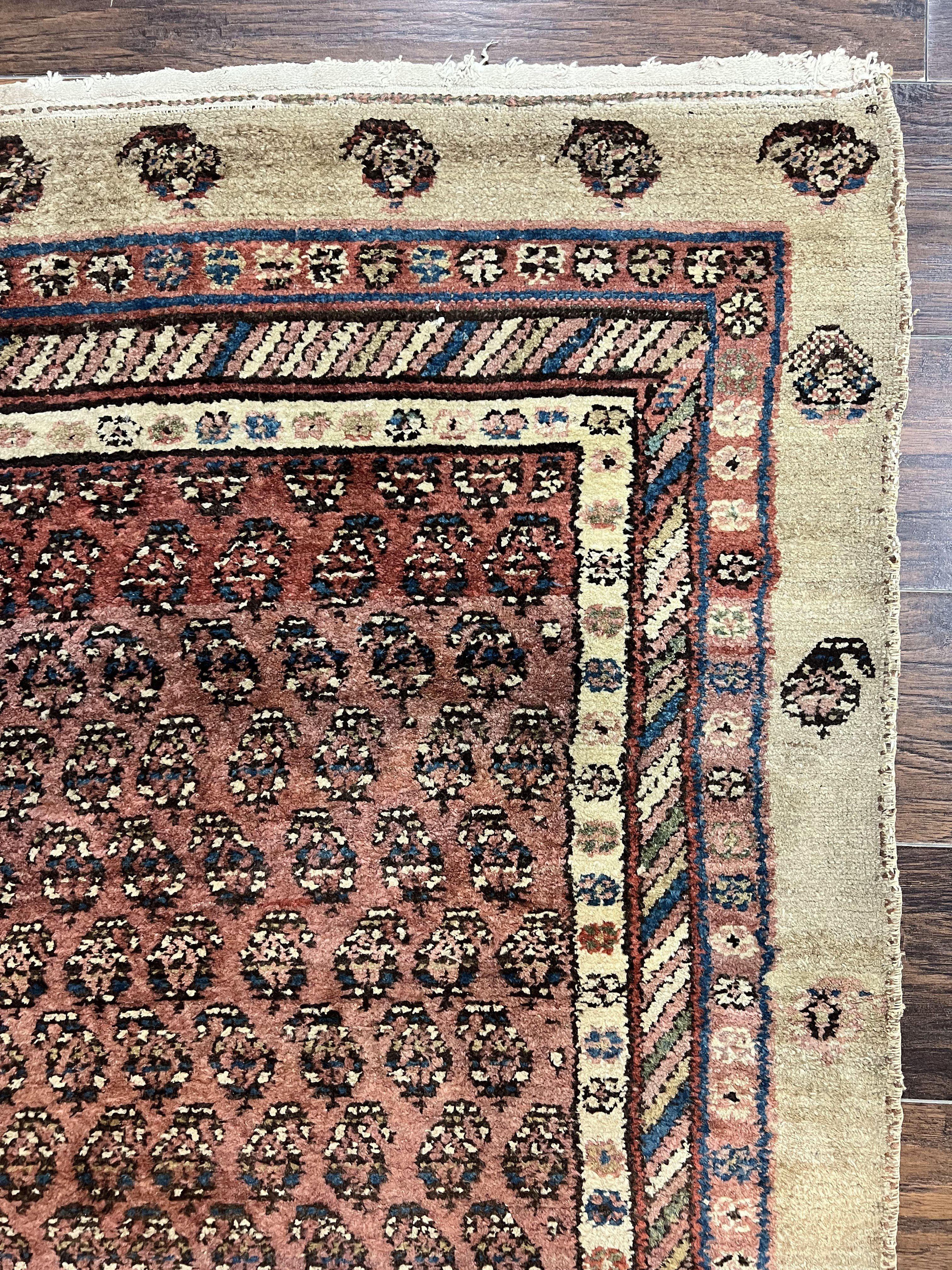 Antique Persian Sarab Runner Rug 3x11, Wool Camel Hair, Tribal Carpet for Hallway 3 x 11, Antique 1920s Rug, Handmade - Jewel Rugs