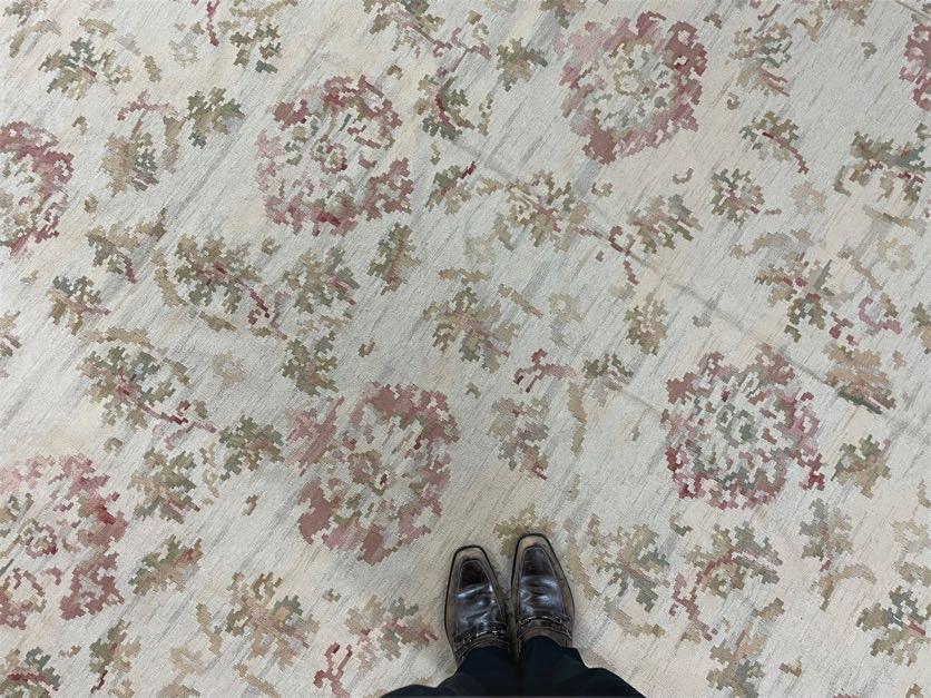 9x12 Flatweave Aubusson Needlepoint Rug, New, Beige, Tan, Green, Handmade, Hand-Knotted Area Rug, French European Carpet, Flowers - Jewel Rugs