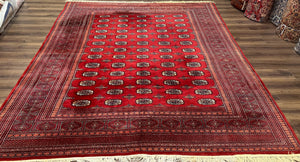 Turkoman Bukhara Rug 8x10, Vintage Bokhara Carpet 8 x 10, Red and Black, Hand Knotted Wool Area Rug, Pakistani Turkmen Rug, Living Room Rug - Jewel Rugs