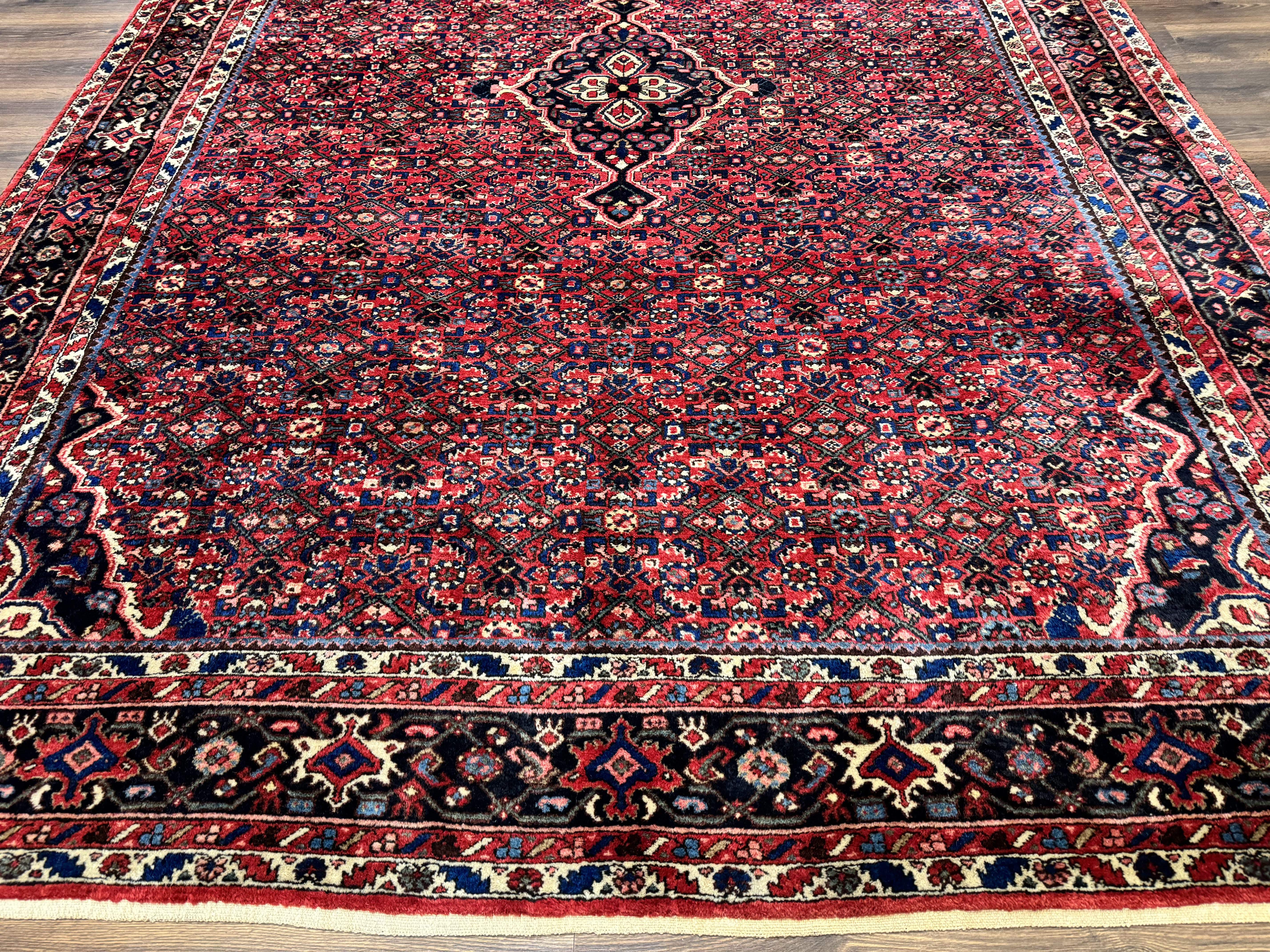 Persian Hamadan Rug 9x12 – Red and Navy Hand-Knotted Wool Antique Village Carpet - Jewel Rugs