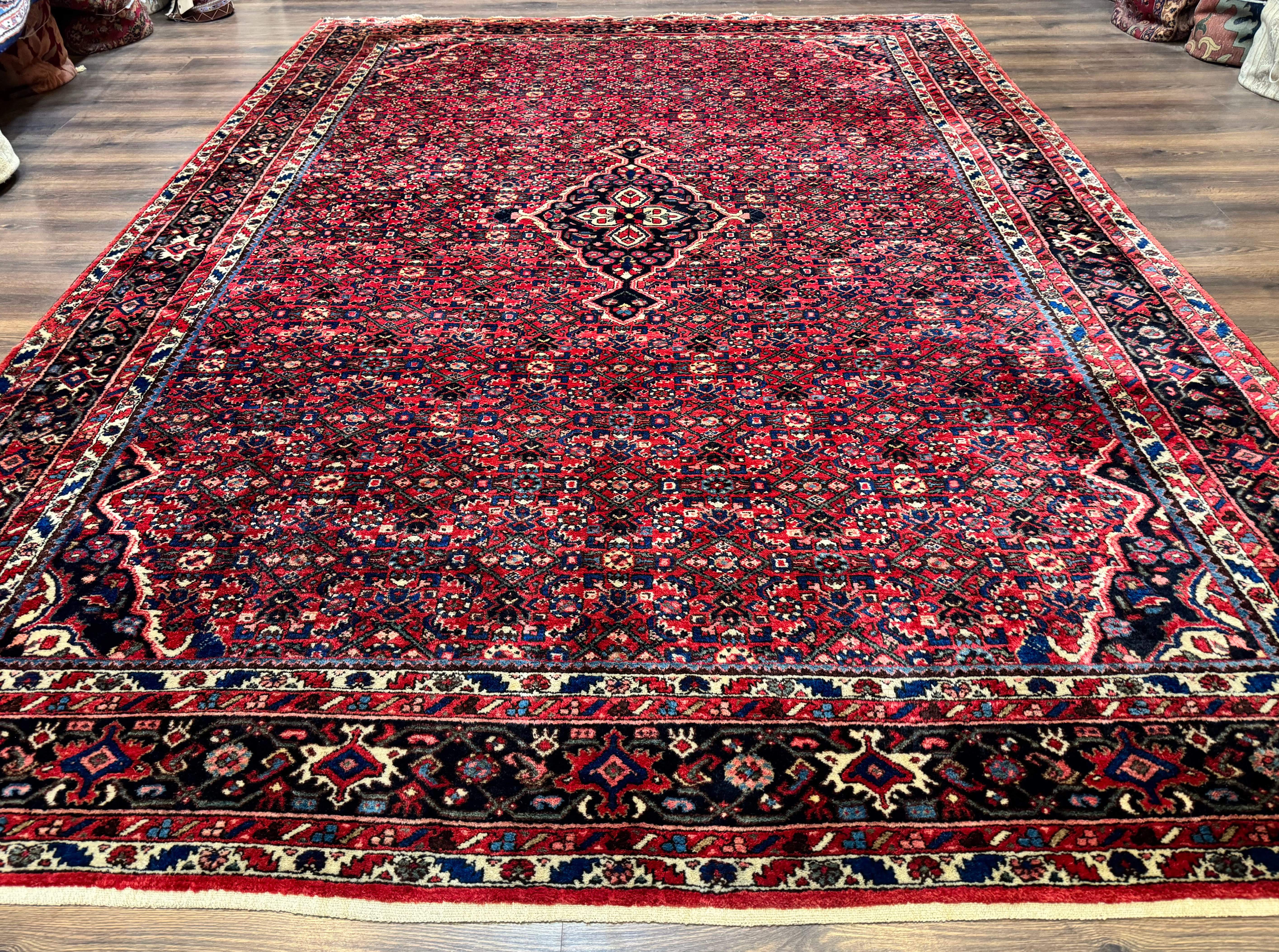 Persian Hamadan Rug 9x12 – Red and Navy Hand-Knotted Wool Antique Village Carpet - Jewel Rugs