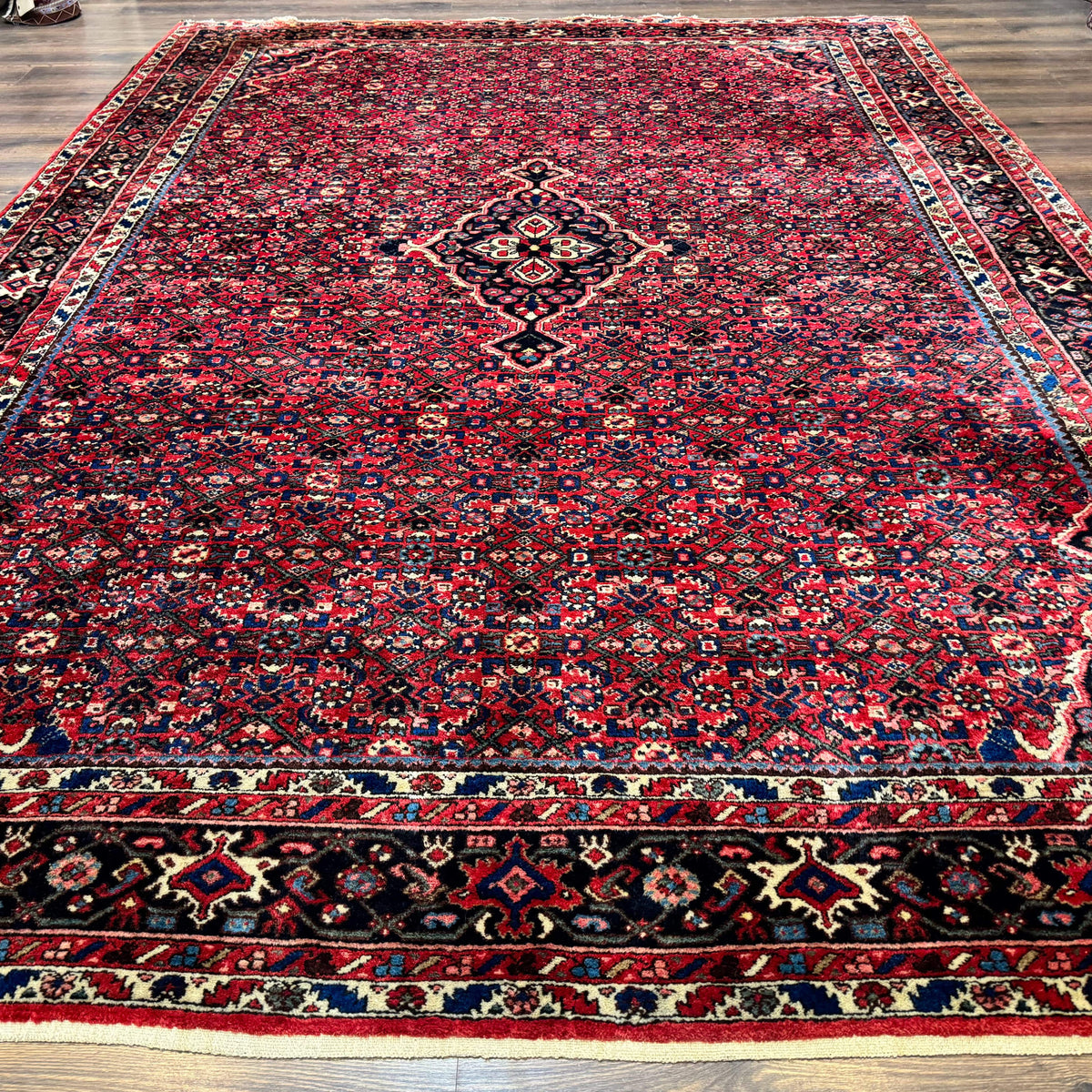 Persian Hamadan Rug 9x12 – Red and Navy Hand-Knotted Wool Antique Vill ...