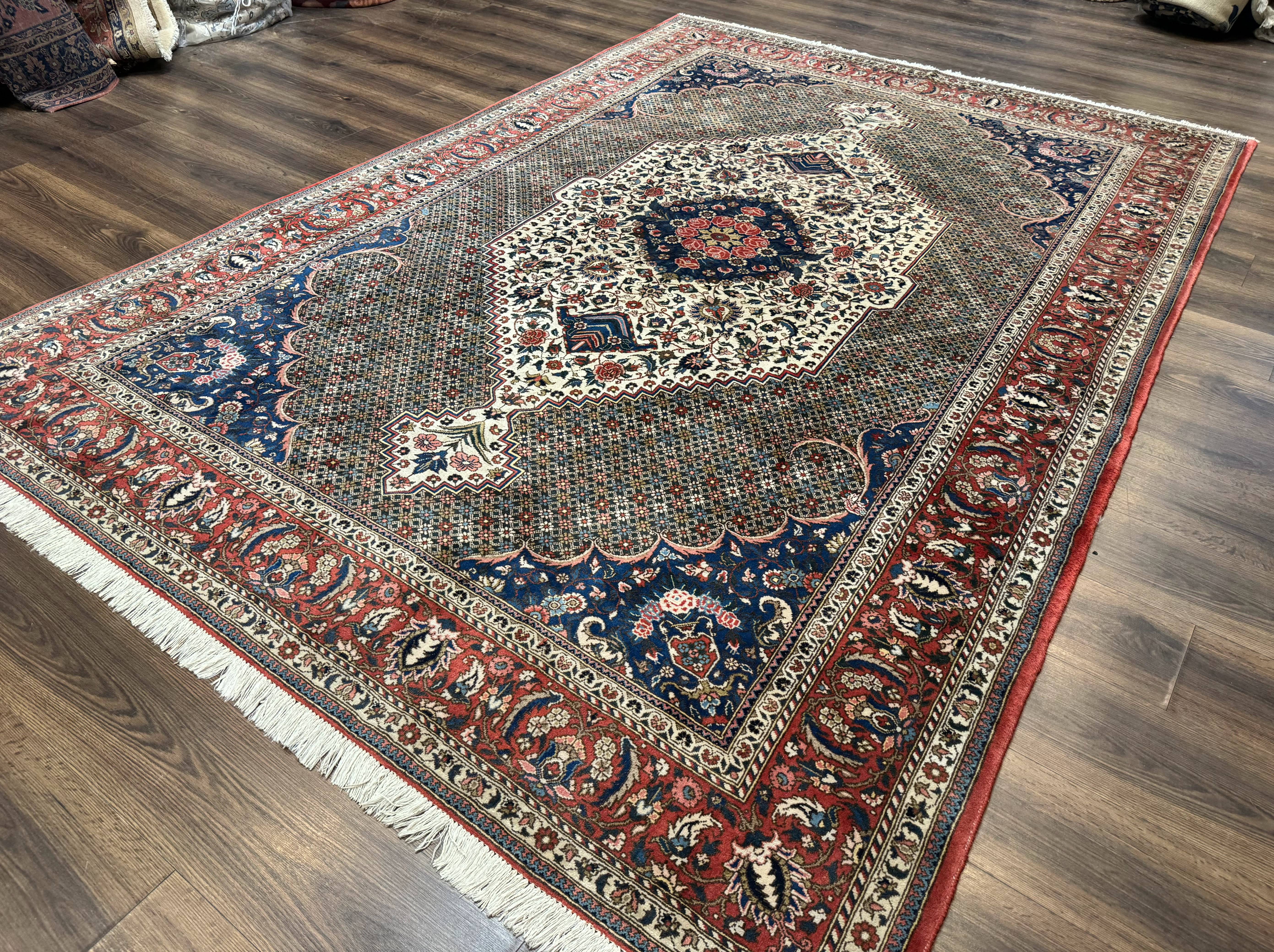 Persian Rug 7x10, Bakhtiari Saman Rug, Unique Design and Colors, Ivory Red Blue, Large Tribal Rug - Jewel Rugs