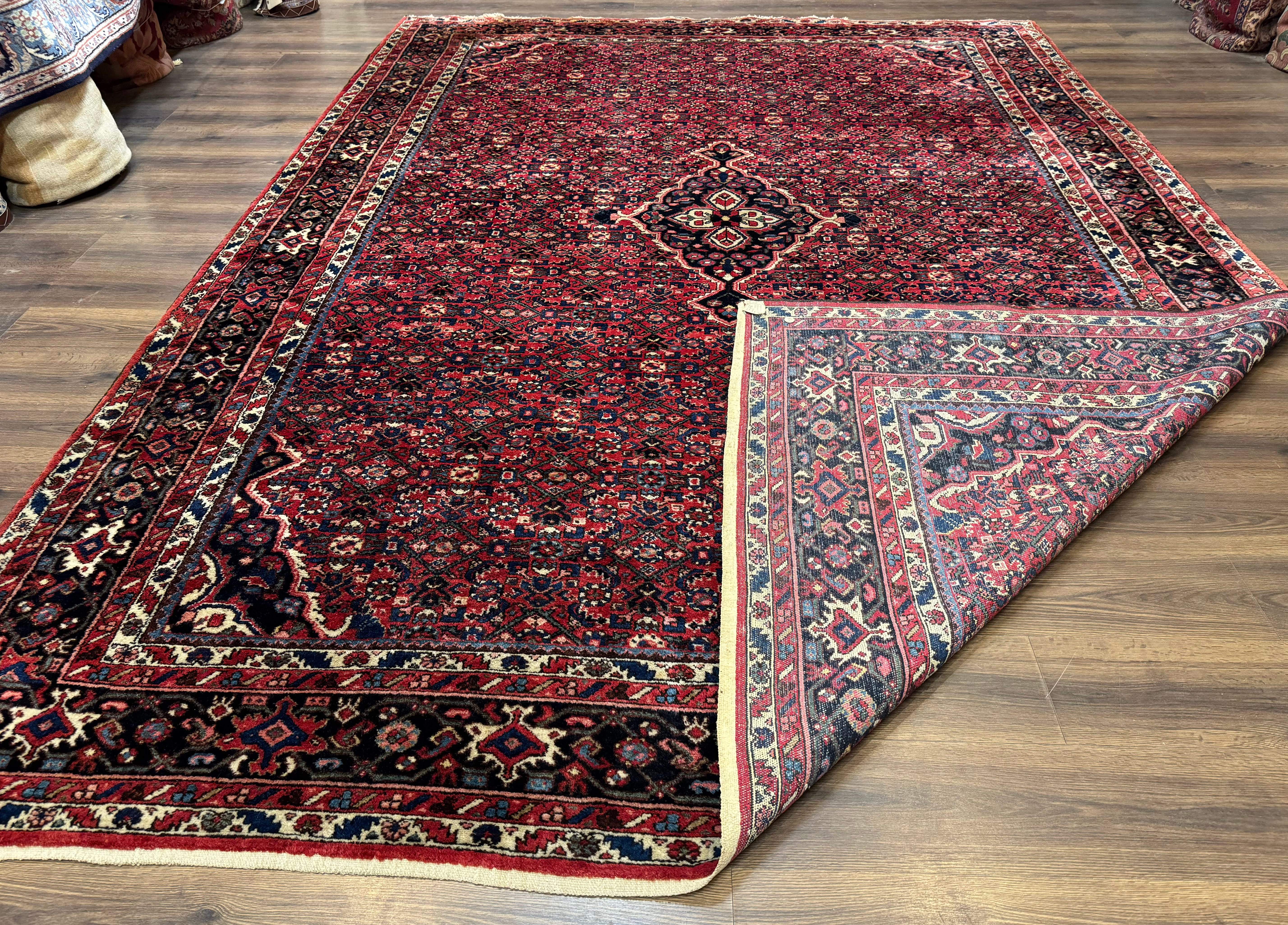 Persian Hamadan Rug 9x12 – Red and Navy Hand-Knotted Wool Antique Village Carpet - Jewel Rugs