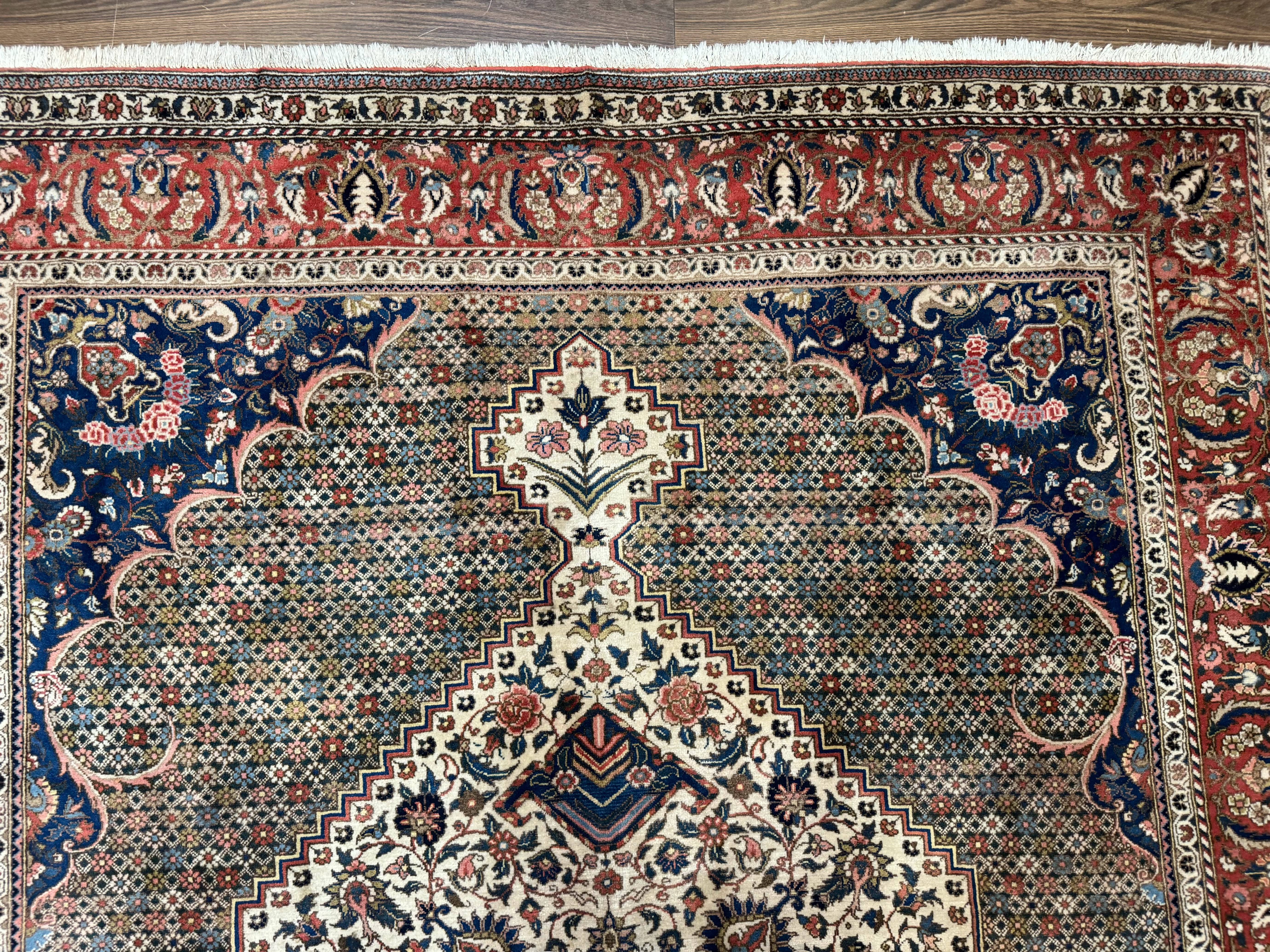 Persian Rug 7x10, Bakhtiari Saman Rug, Unique Design and Colors, Ivory Red Blue, Large Tribal Rug - Jewel Rugs