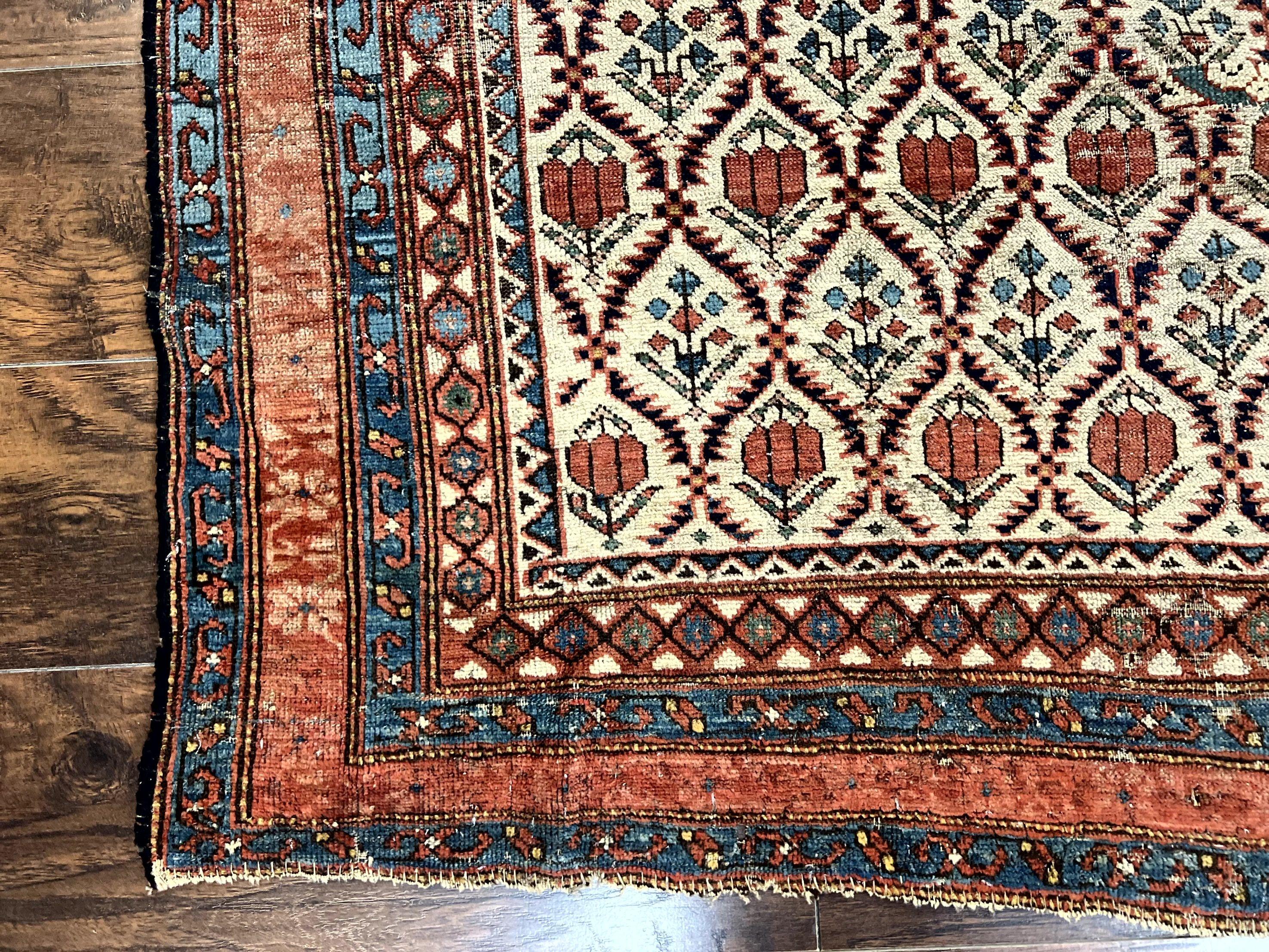 Antique Caucasian Rug 4x6, Hand Knotted Wool Carpet, Shirvan Rug - Jewel Rugs