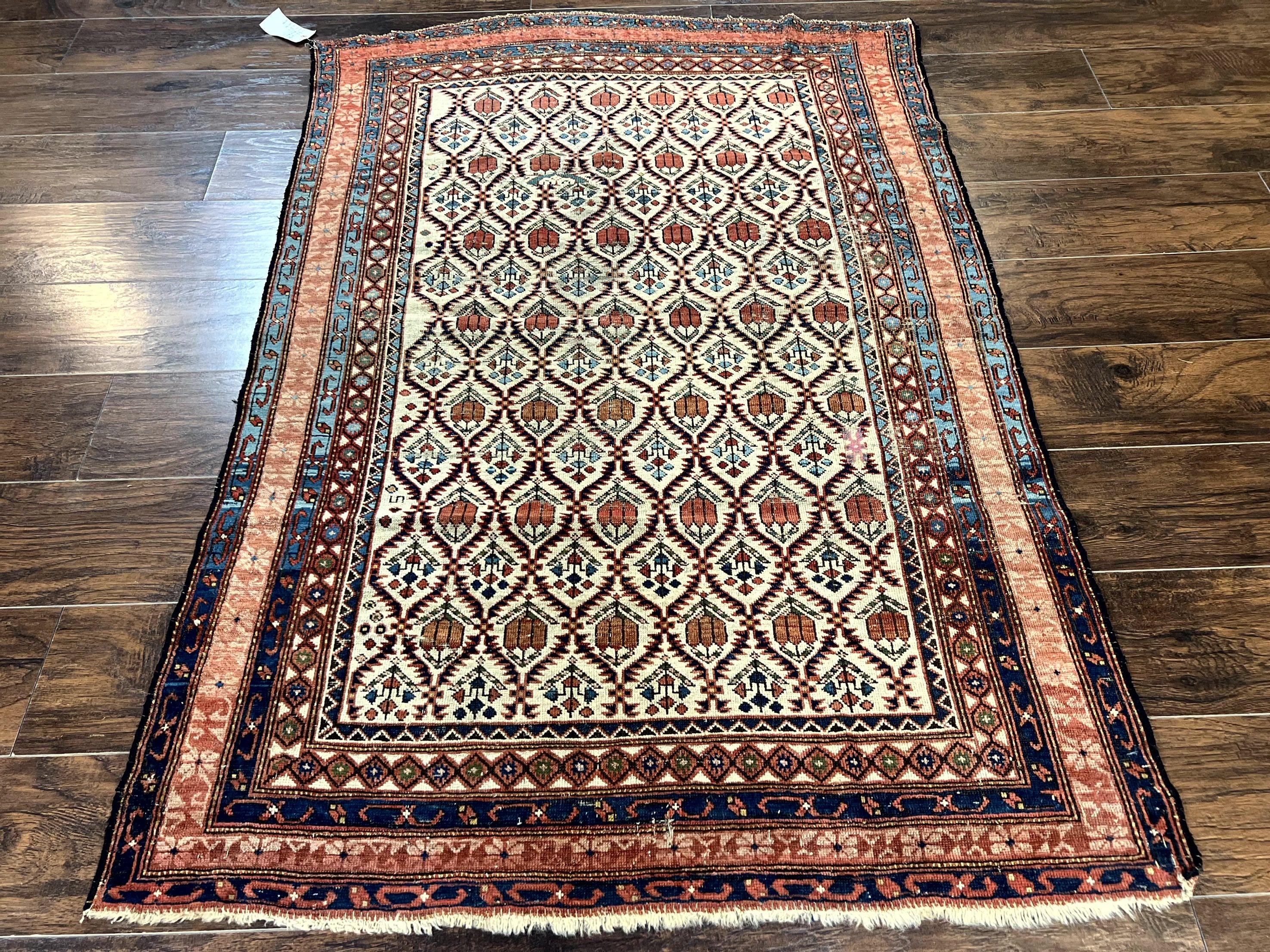 Antique Caucasian Rug 4x6, Hand Knotted Wool Carpet, Shirvan Rug - Jewel Rugs