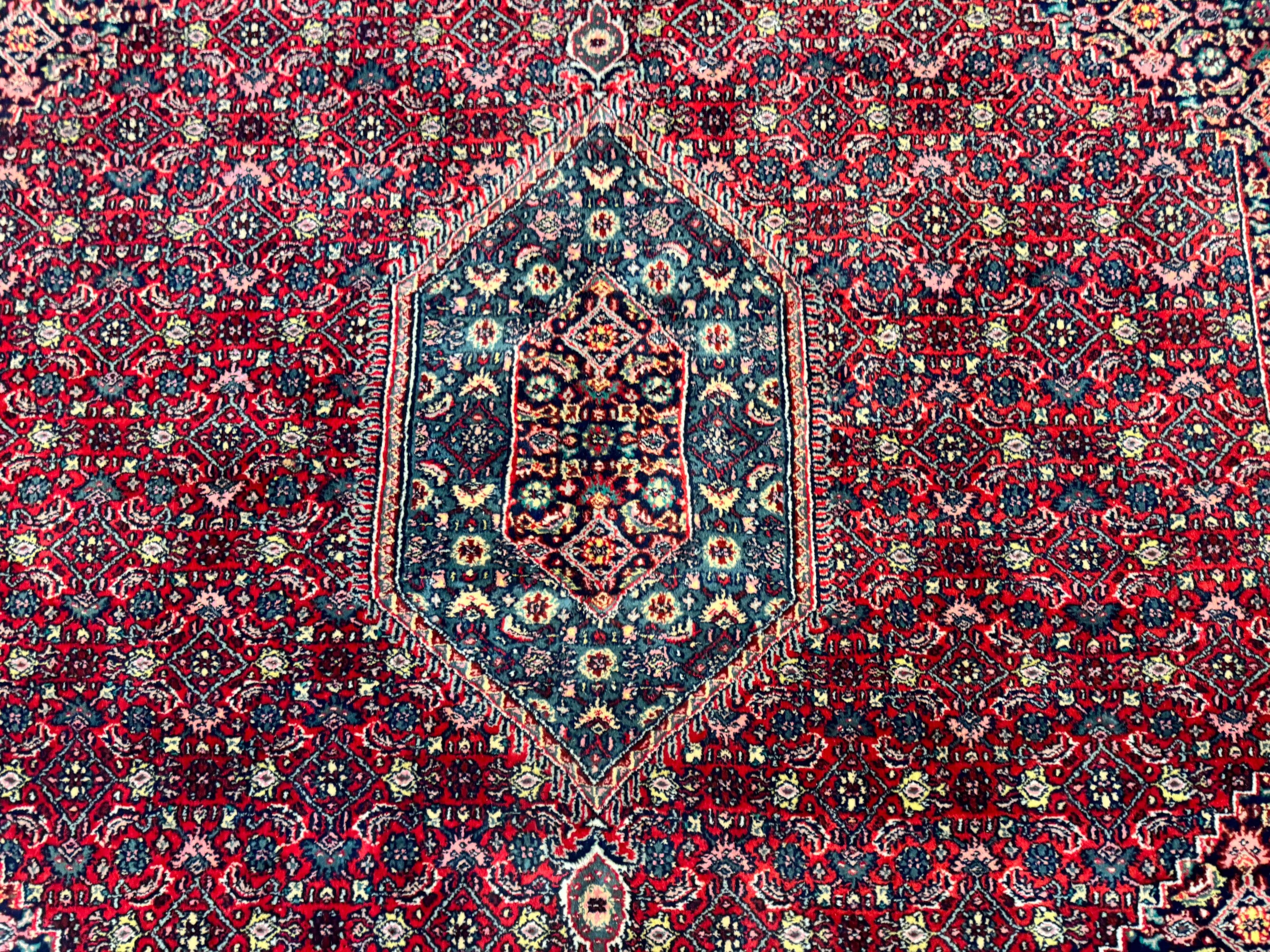 Indo Persian Bidjar Rug 8x10, Red, Herati Pattern, Soft Wool Pile, Vintage - Jewel Rugs
