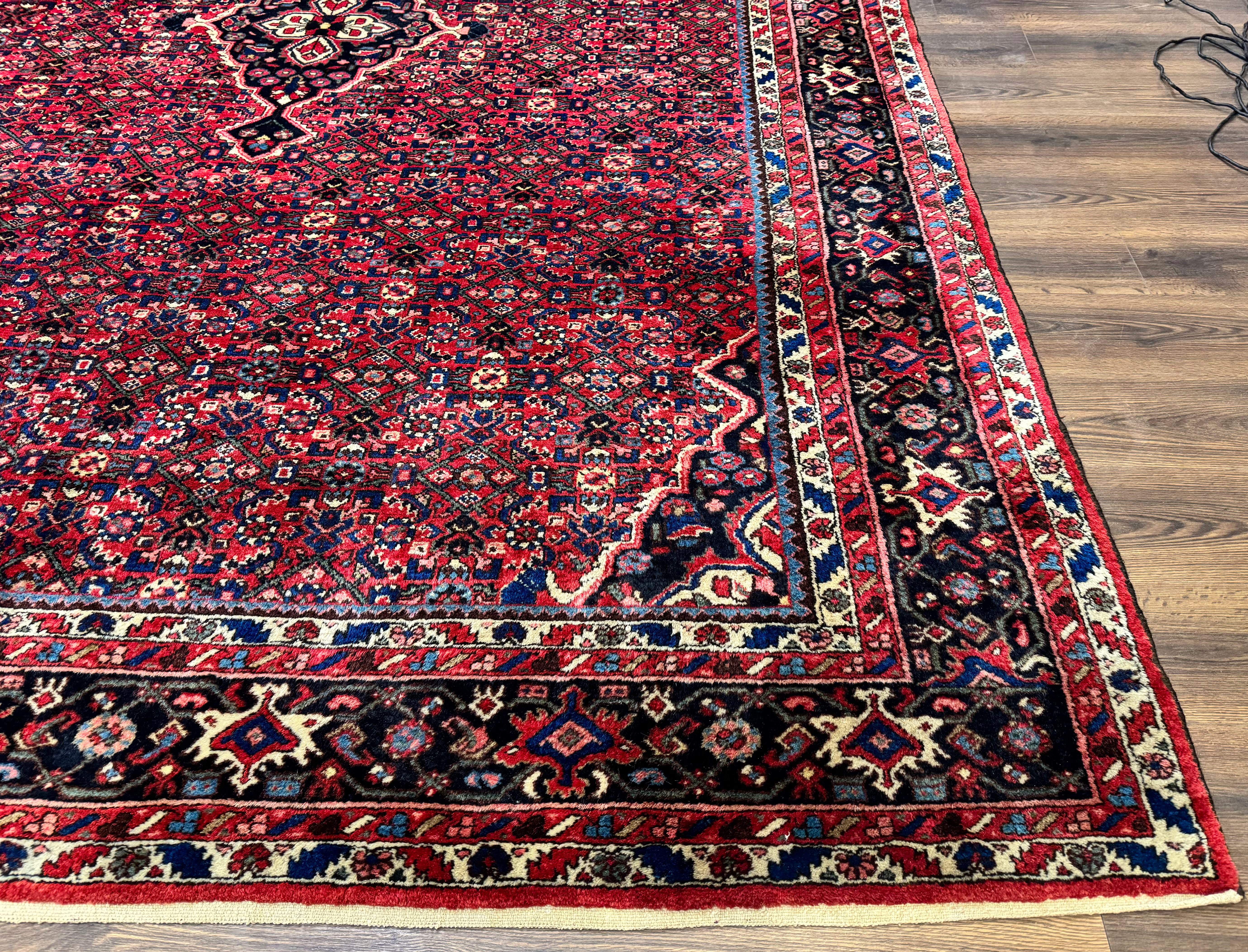 Persian Hamadan Rug 9x12 – Red and Navy Hand-Knotted Wool Antique Village Carpet - Jewel Rugs