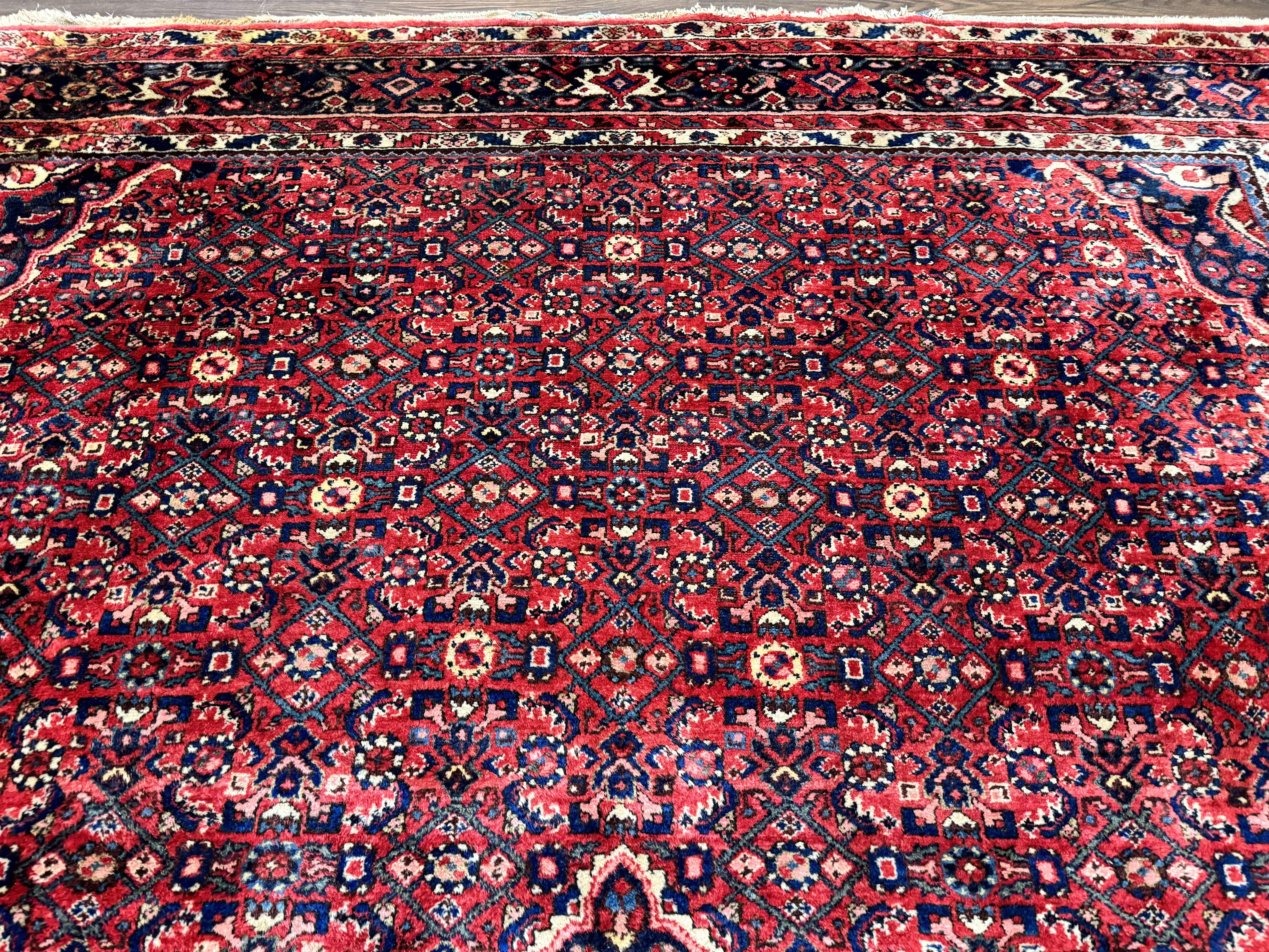 Persian Hamadan Rug 9x12 – Red and Navy Hand-Knotted Wool Antique Village Carpet - Jewel Rugs