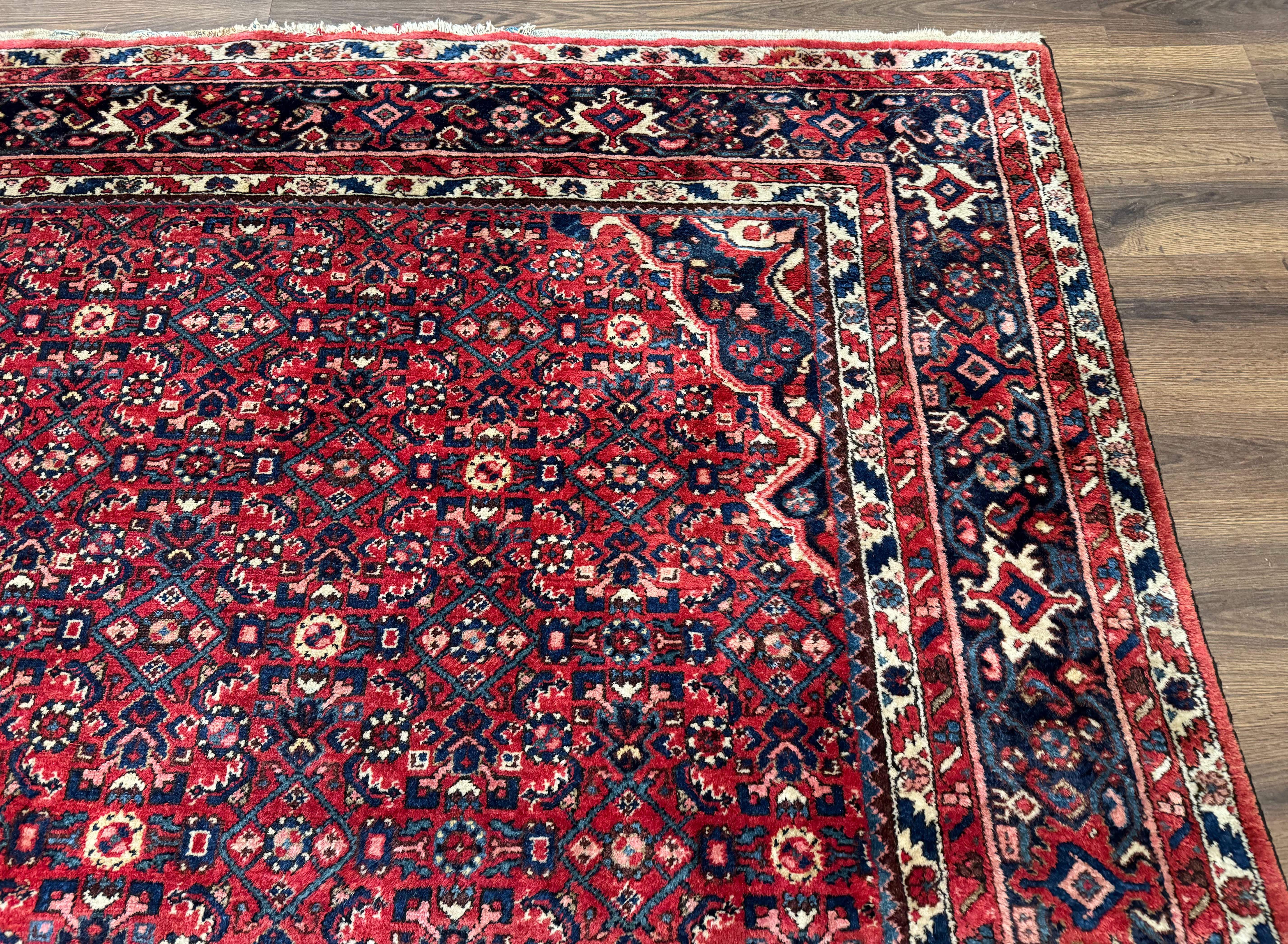Persian Hamadan Rug 9x12 – Red and Navy Hand-Knotted Wool Antique Village Carpet - Jewel Rugs