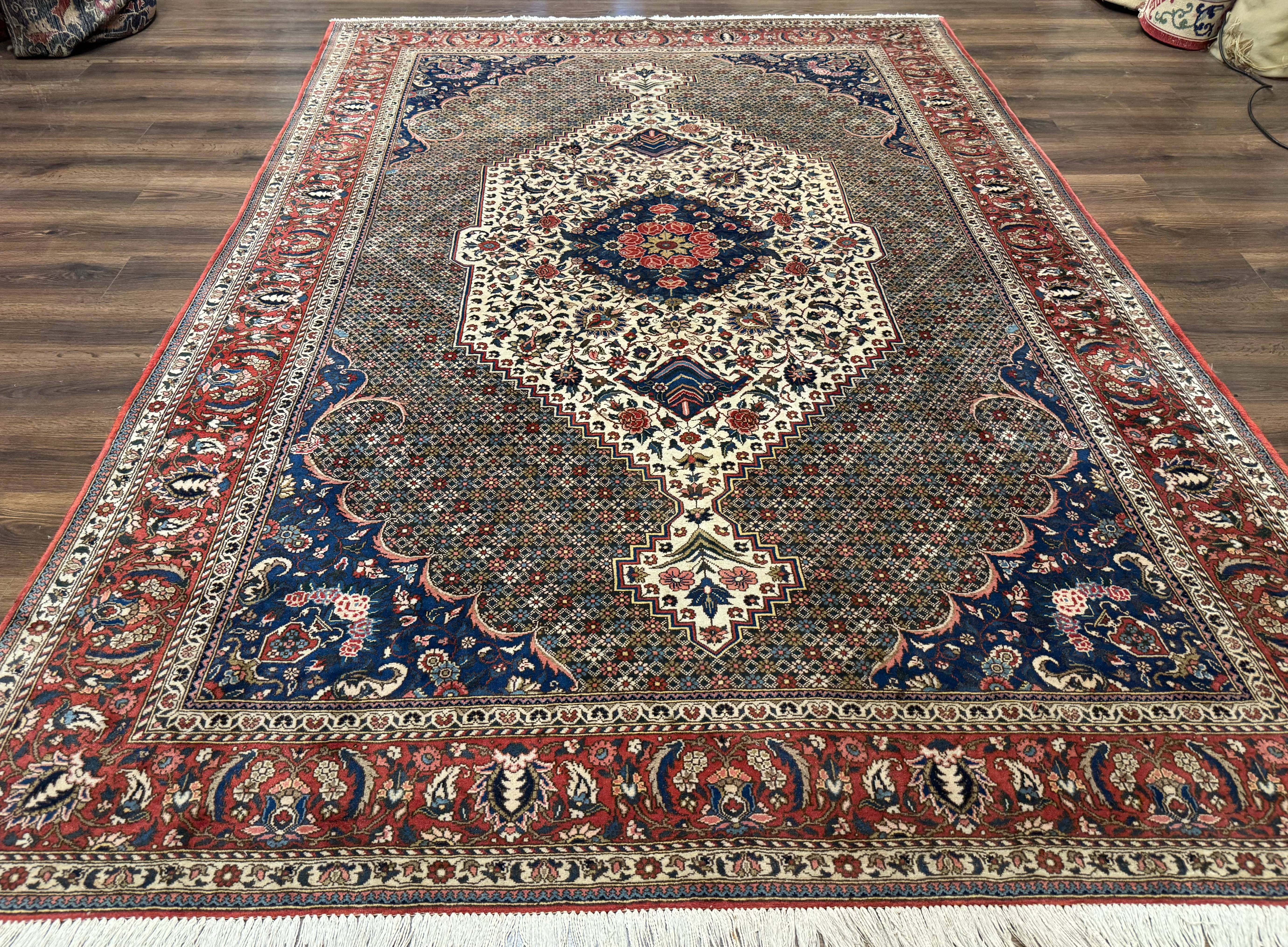Persian Rug 7x10, Bakhtiari Saman Rug, Unique Design and Colors, Ivory Red Blue, Large Tribal Rug - Jewel Rugs