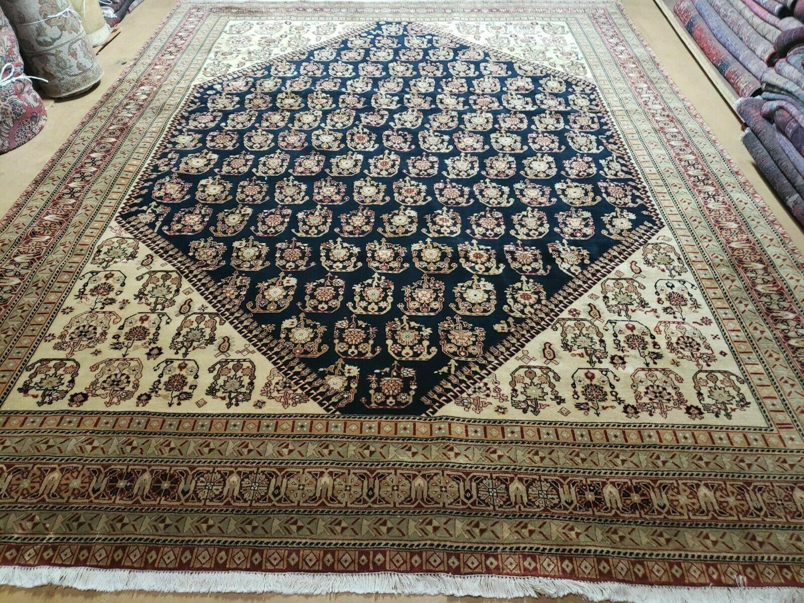 9' X 11' Fine Handmade Indian Agra Rug Paisley Hand Knotted Carpet Organic Wow - Jewel Rugs