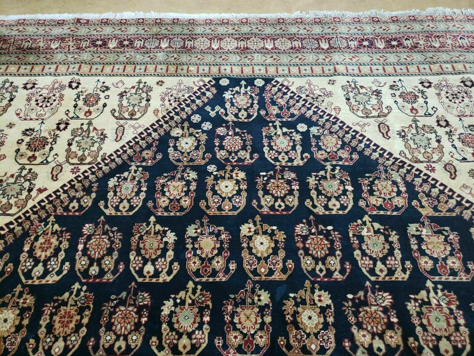 9' X 11' Fine Handmade Indian Agra Rug Paisley Hand Knotted Carpet Organic Wow - Jewel Rugs