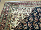 9' X 11' Fine Handmade Indian Agra Rug Paisley Hand Knotted Carpet Organic Wow - Jewel Rugs