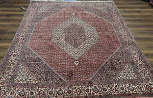 Wonderful Persian Bidjar Rug 7x8 ft, Almost Square Oriental Carpet, Herati Mahi, Highly Detailed, Ivory Red Navy Blue, Very Fine Handmade Bijar Rug - Jewel Rugs