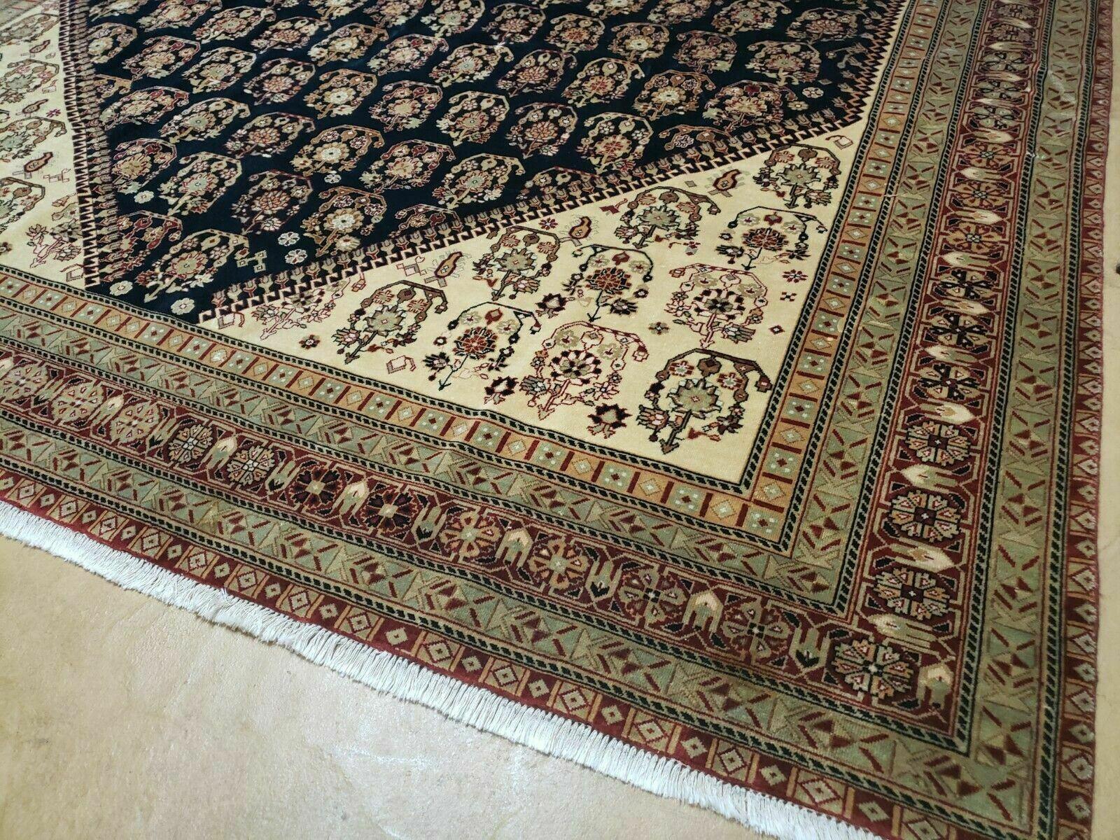 9' X 11' Fine Handmade Indian Agra Rug Paisley Hand Knotted Carpet Organic Wow - Jewel Rugs