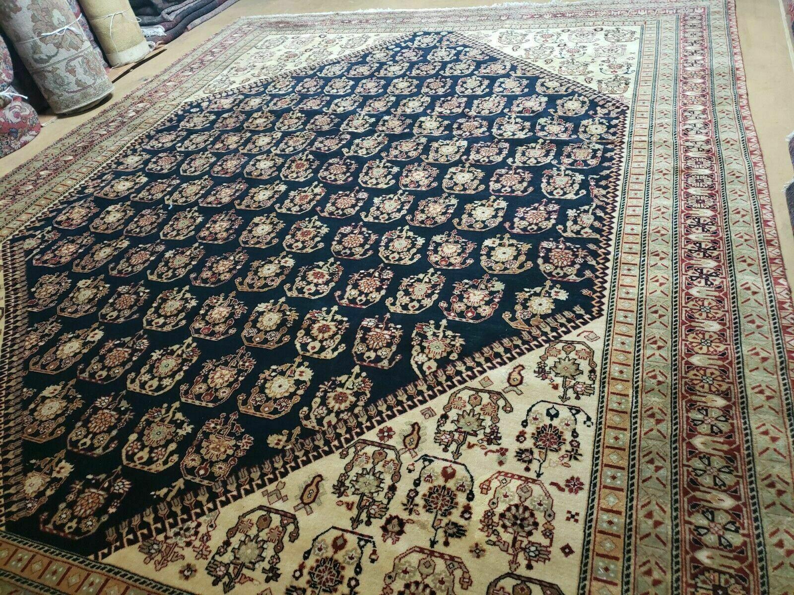 9' X 11' Fine Handmade Indian Agra Rug Paisley Hand Knotted Carpet Organic Wow - Jewel Rugs