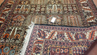 Vintage Persian Bakhtiari Rug, Four Seasons, Panels, Wool, Hand-Knotted, 5' 6" x 9' 5" - Jewel Rugs