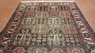 Vintage Persian Bakhtiari Rug, Four Seasons, Panels, Wool, Hand-Knotted, 5' 6" x 9' 5" - Jewel Rugs