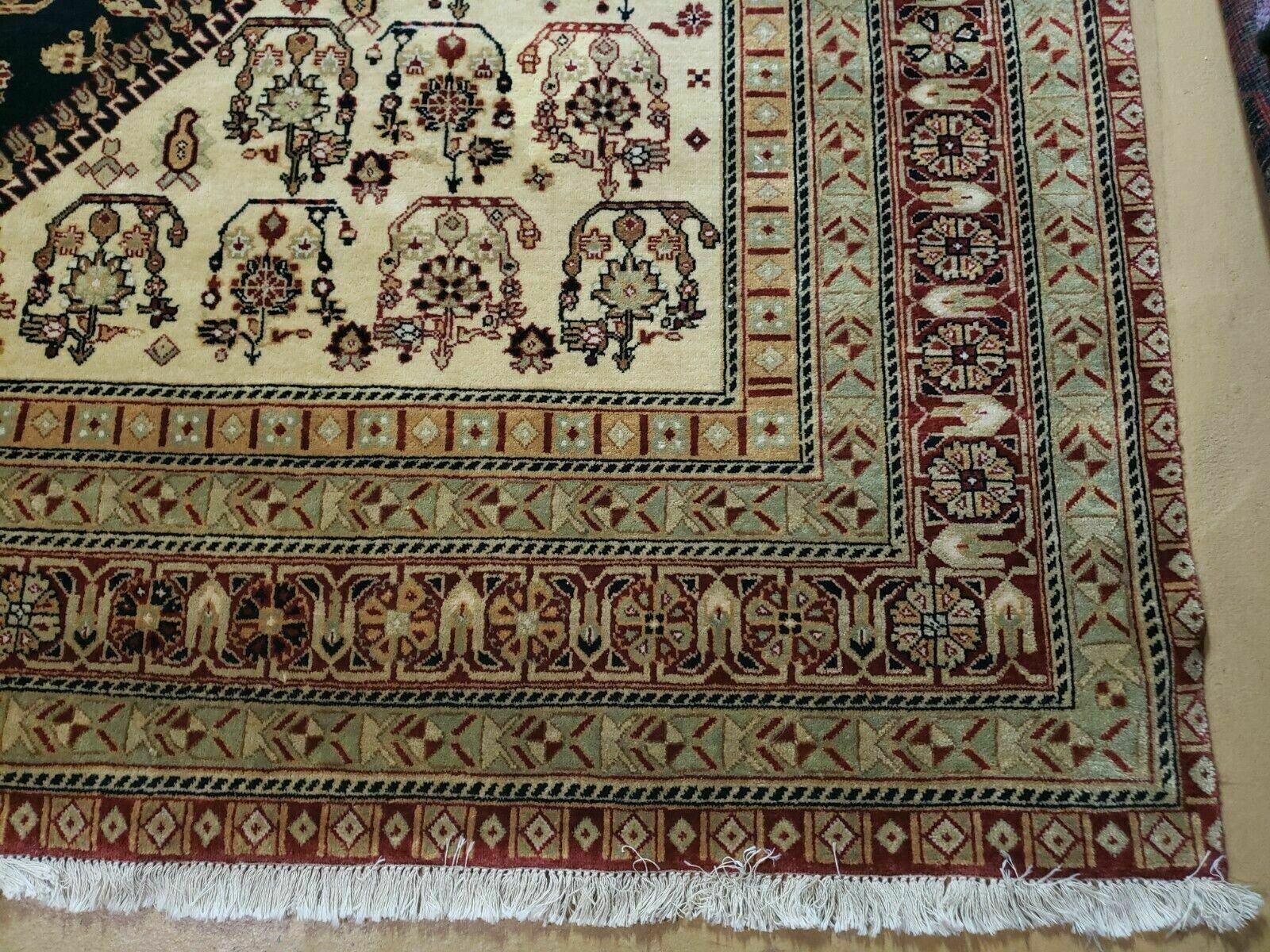 9' X 11' Fine Handmade Indian Agra Rug Paisley Hand Knotted Carpet Organic Wow - Jewel Rugs